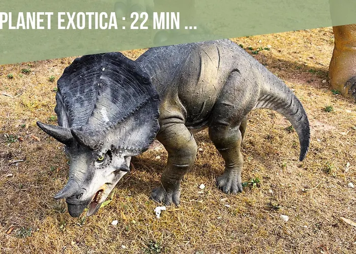 Apartamento Les Flots De Atypique Avec Vue